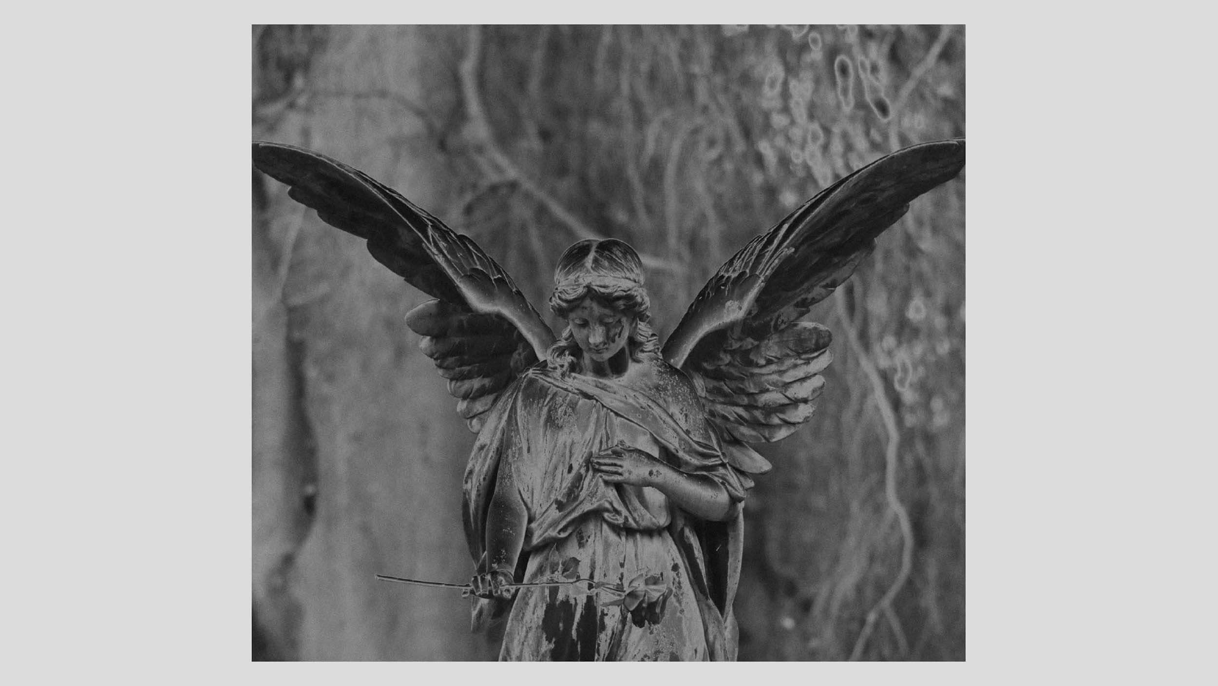 Where The Shadows Stay Still Spread 10