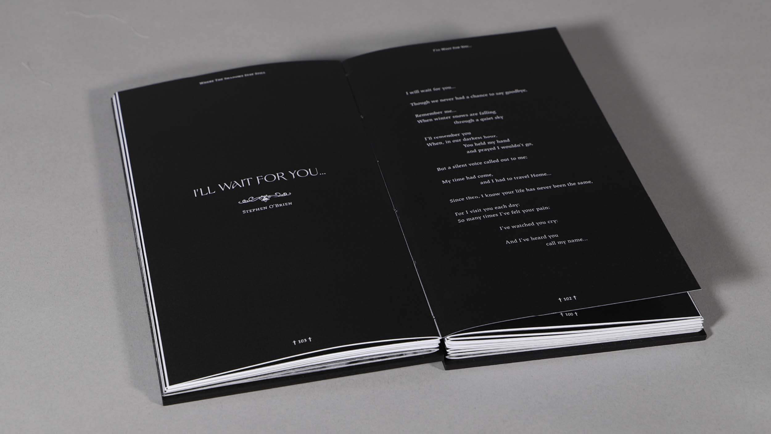 Where The Shadows Stay Still Photo